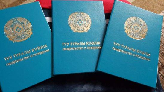 ۇشەمنىڭ اناسىنا كومەكتەستى