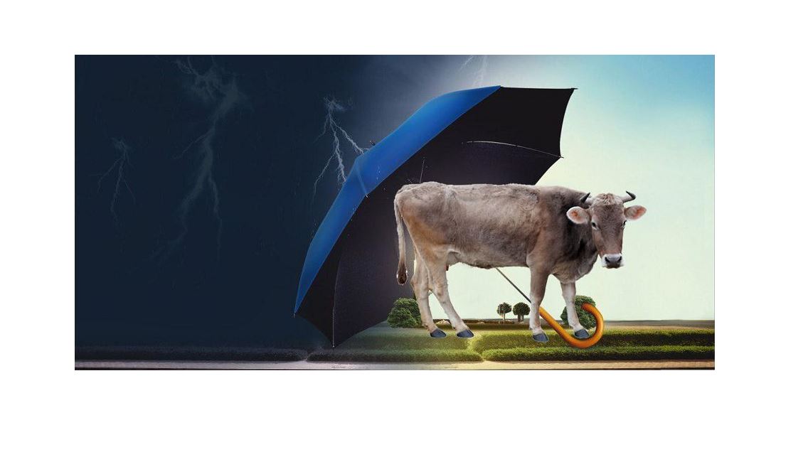 سيىر دا ساقتاندىرىلادى