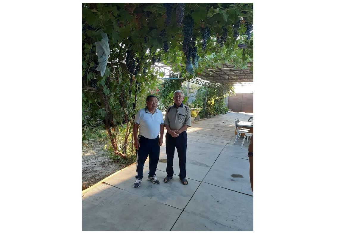 بالۋاننىڭ بالالىق شاعى