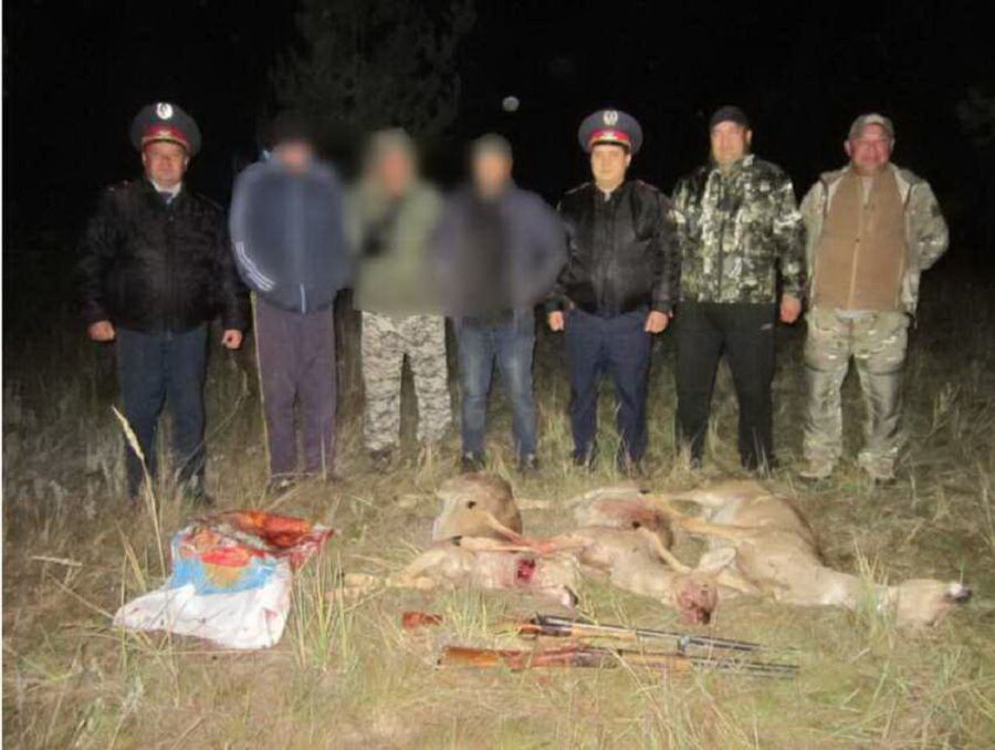 ەكولوگيالىق قىلمىس ءورشىپ تۇر