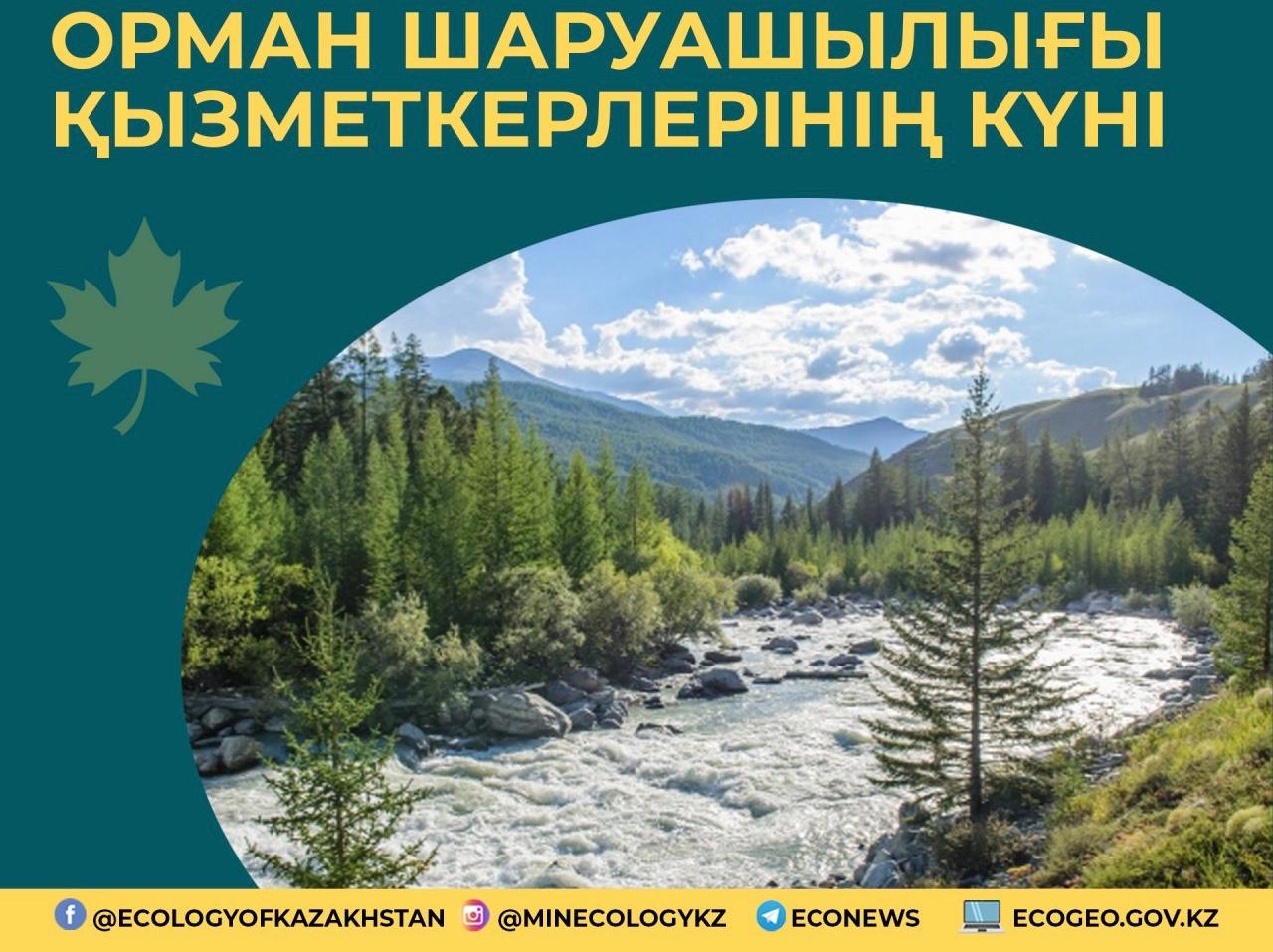 ەكولوگيا ءمينيسترى ورمان شارۋاشىلىعى ماماندارىن كاسىبي مەرەكەسىمەن قۇتتىقتادى