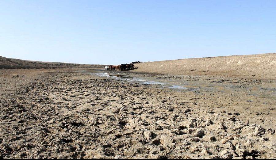 جاڭاقالانىڭ جاعدايى الاڭداتادى