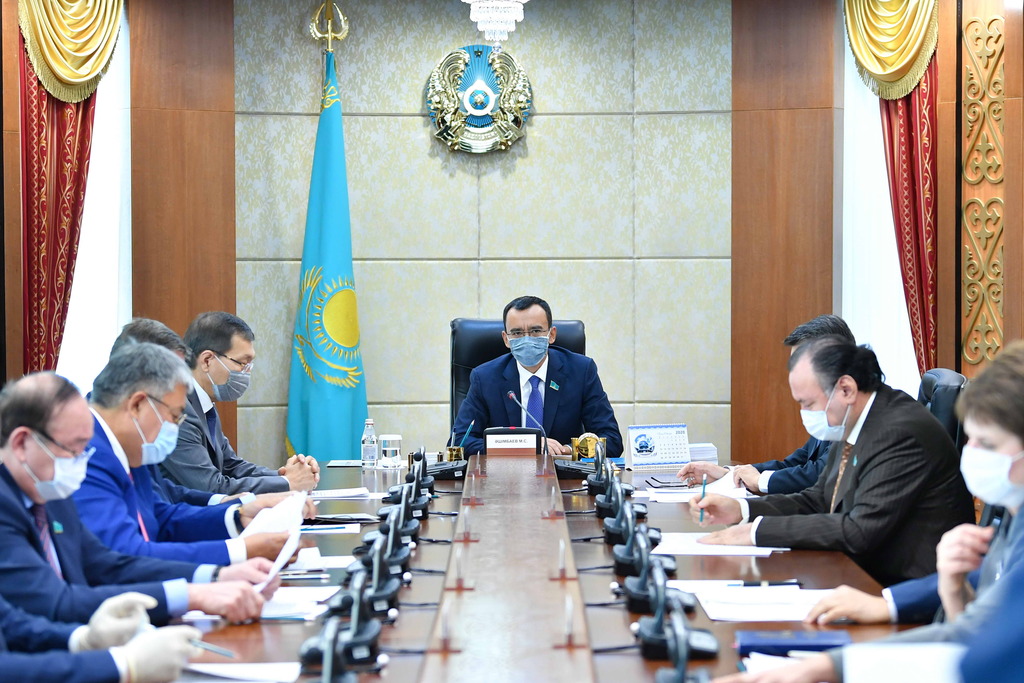 سەنات مادەنيەت ماسەلەلەرى بويىنشا زاڭ جوباسىن قارايدى