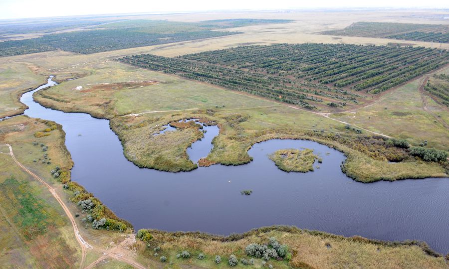 جاھاندى جاسىل جەلەك قۇتقارادى