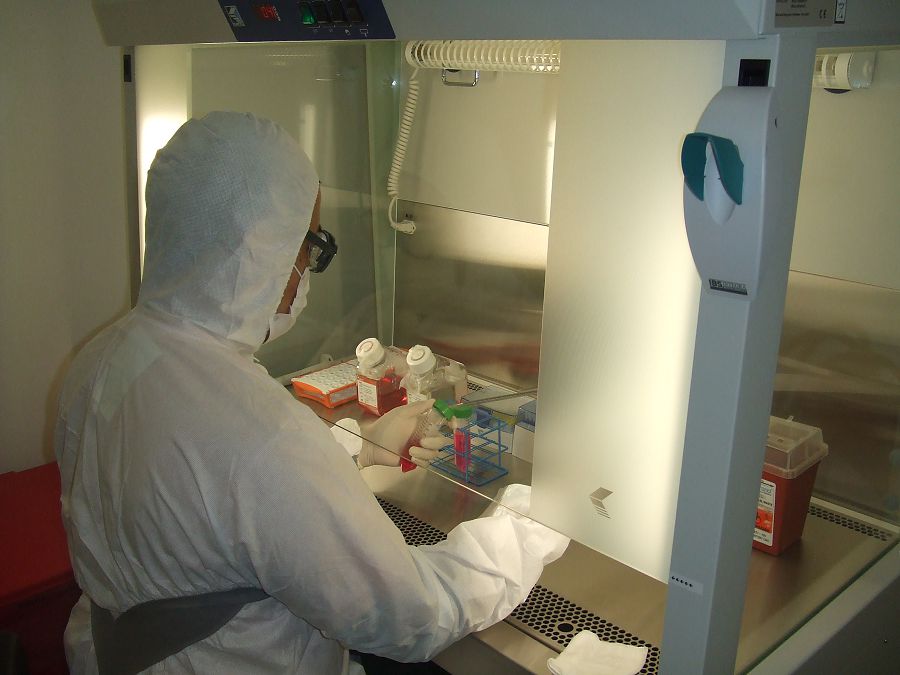 كوروناۆيرۋسپەن كۇرەستەن ساباق الدىق پا؟