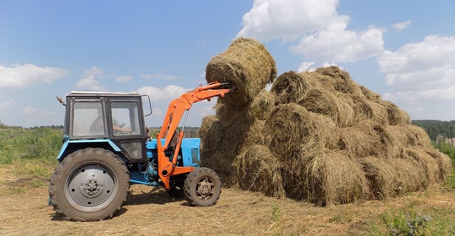 مال ازىعى دايىن با؟