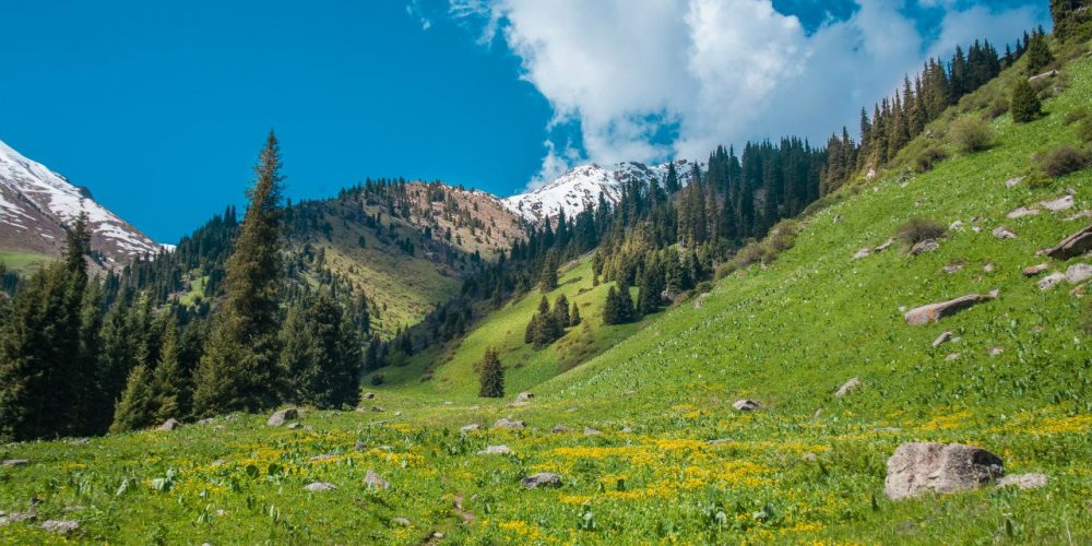 الماتىدا كۆادروتسيكلدەن قۇلاعان تۋريست قايتىس بولدى