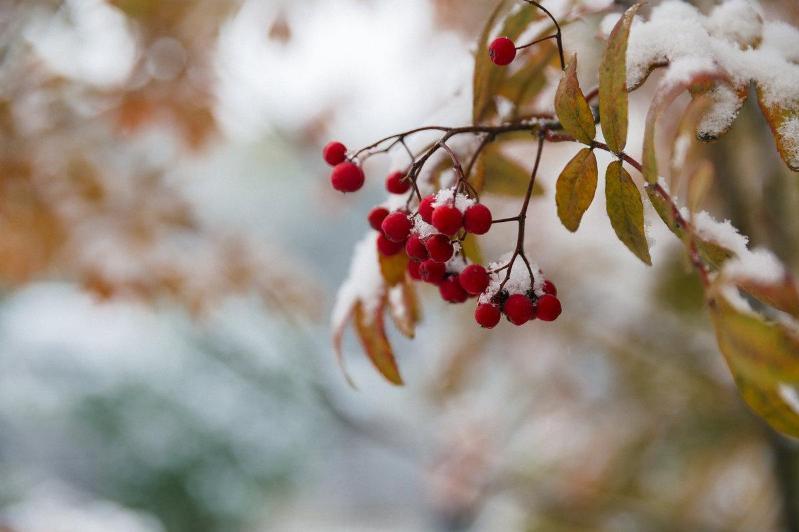 قازاقستاننىڭ باسىم بولىگىندە قار مەن جاڭبىر جاۋادى