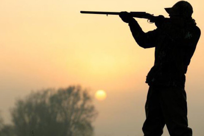 ارال اۋدانىندا اڭعا شىققان تۇرعىن ىزدەستىرىلۋدە