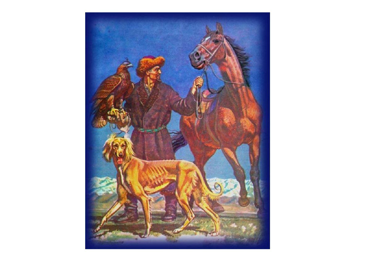 قازاق تازىسى