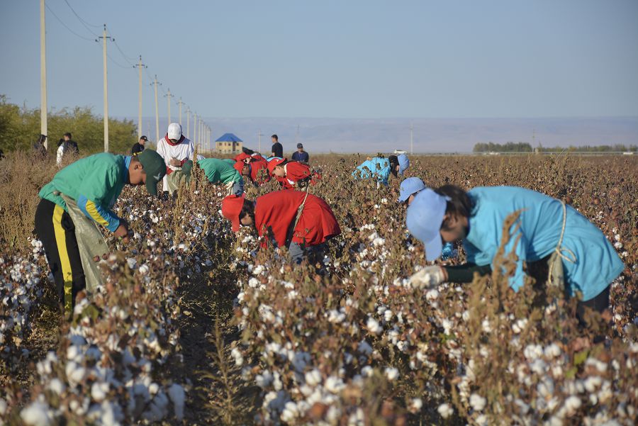جاستار سايىستا شىڭدالادى