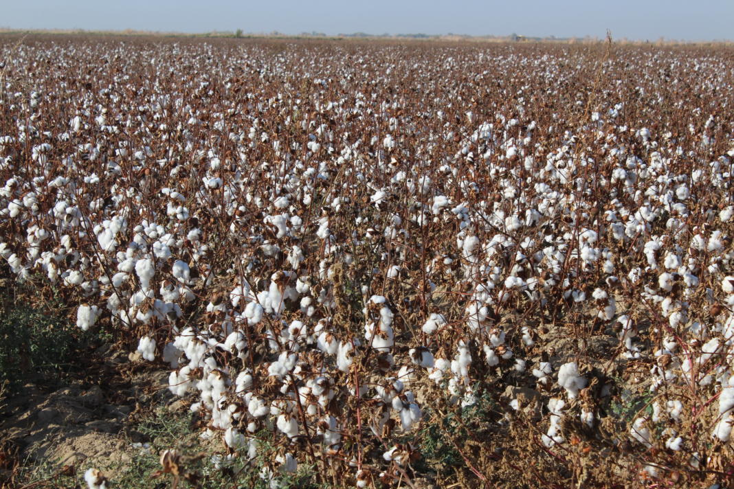 ماقتا ءتۇسىمى مول