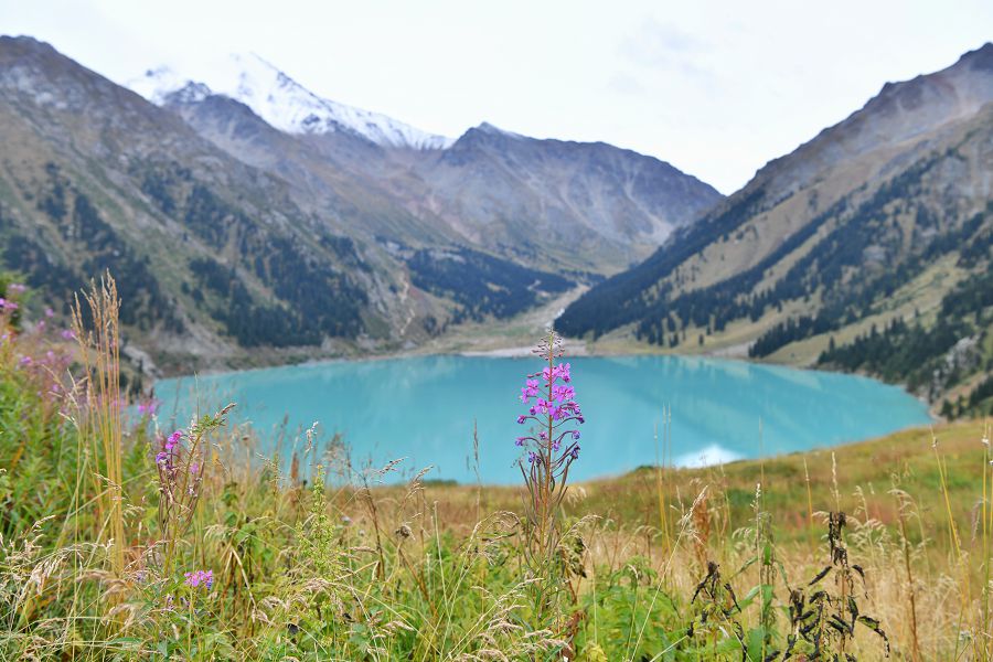«ۇلتتىق پاركتىڭ باستى پروبلەماسى – قوقىس»