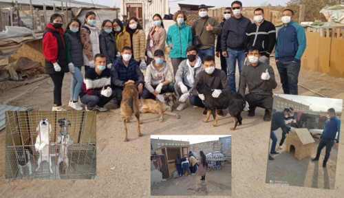 سوتتالعاندار ەرىكتىلەرمەن بىرگە ەڭبەك ەتۋدە