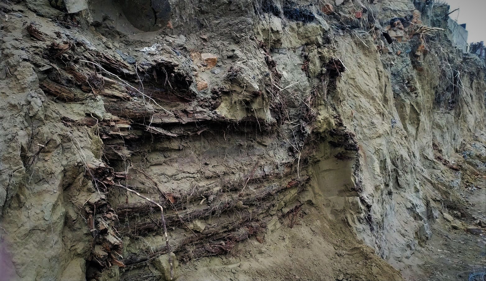 سەمەيدەن قورعانداردىڭ ورنى تابىلدى