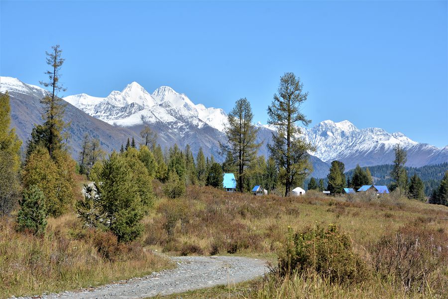 قاراكولدىڭ كۇزى