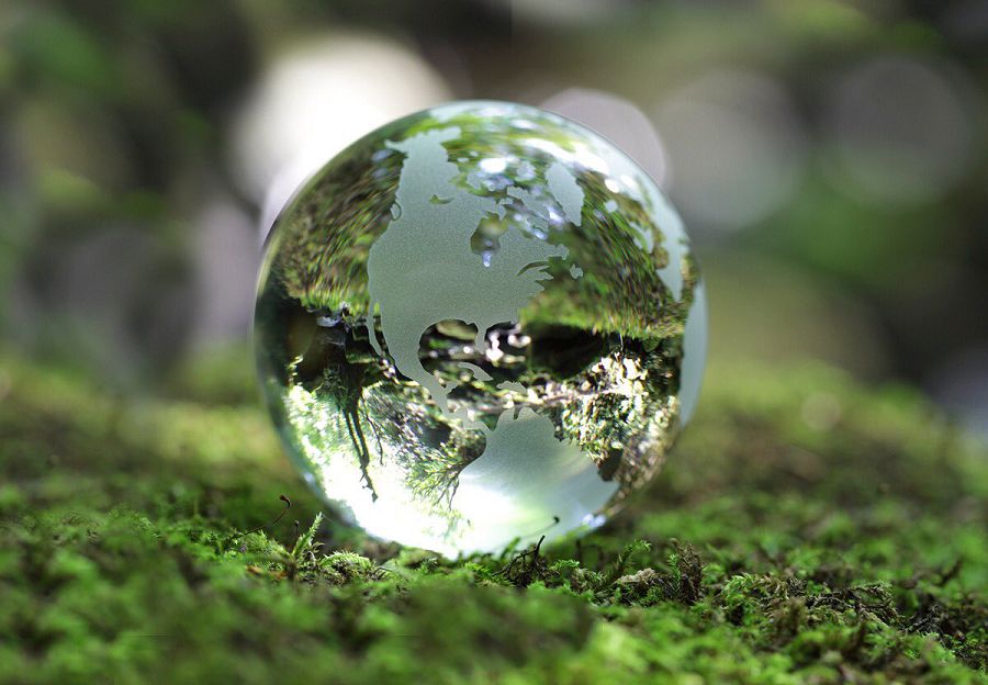 قازاقستاندىق قوس قورىق بيوسفەرالىق رەزەرۆاتتارعا قوسىلدى