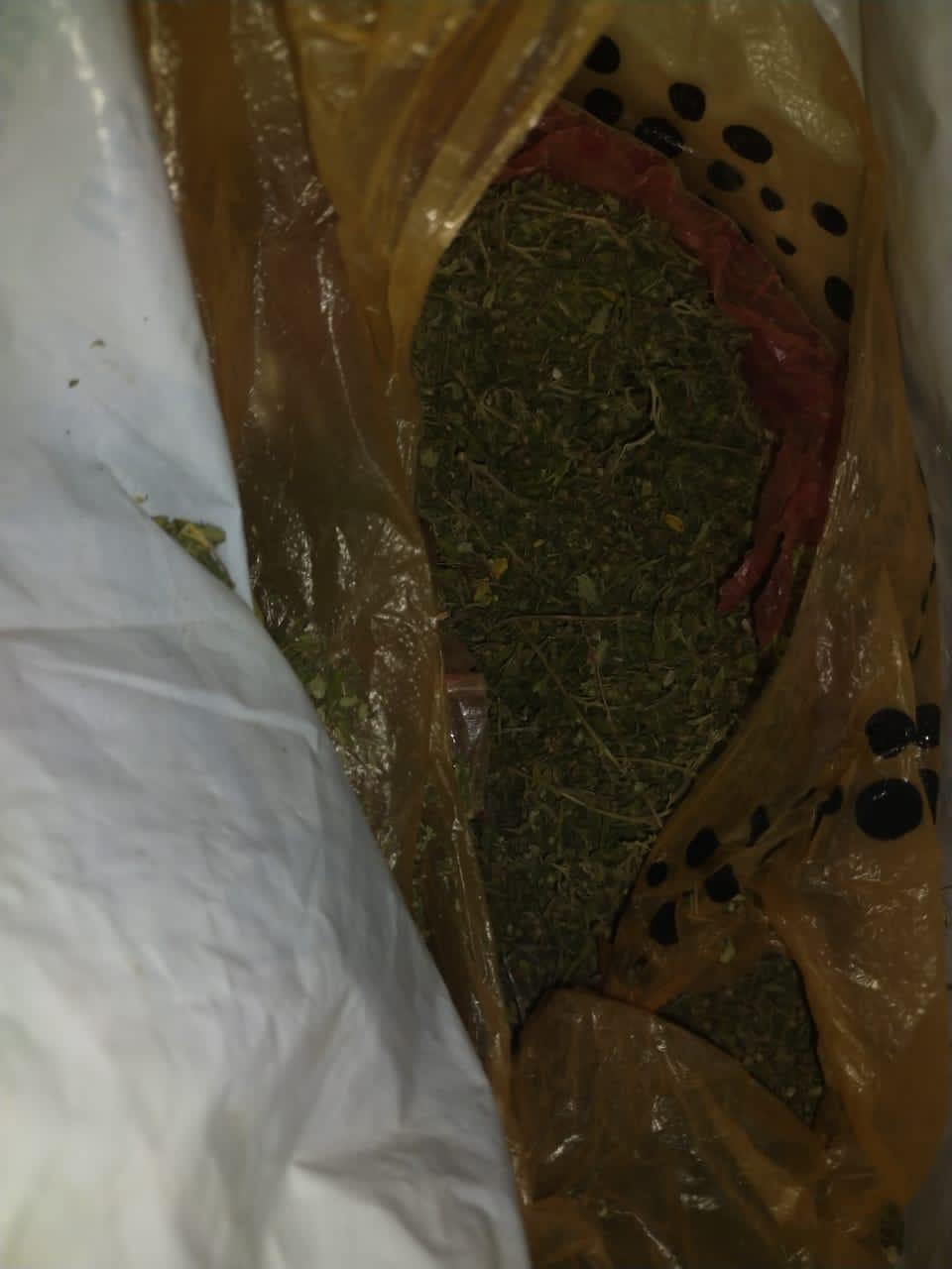 سقو تۇرعىنى 680 گرامم ماريحۋانامەن ۇستالدى