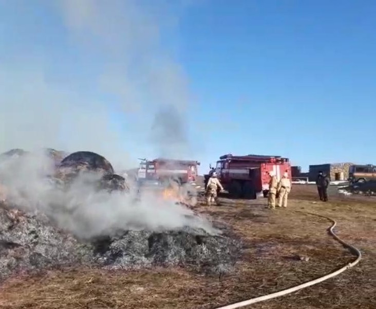 شارۋاشىلىق جەتەكشىسى ىشكى ىستەر مينيسترىنەن كومەك كۇتەدى