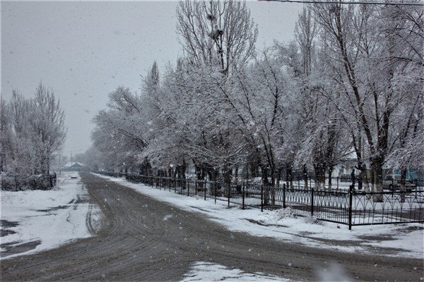 قىسقا مۇقيات دايىندىق جاسالۋدا