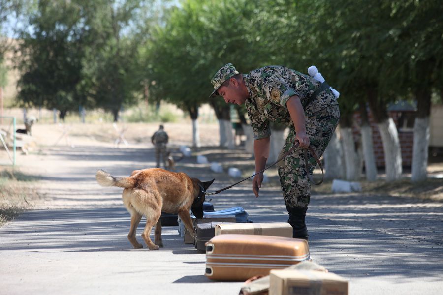 قىزمەتتىك يتتەر قىلمىستىڭ ءىزىن سۋىتپاي اشادى