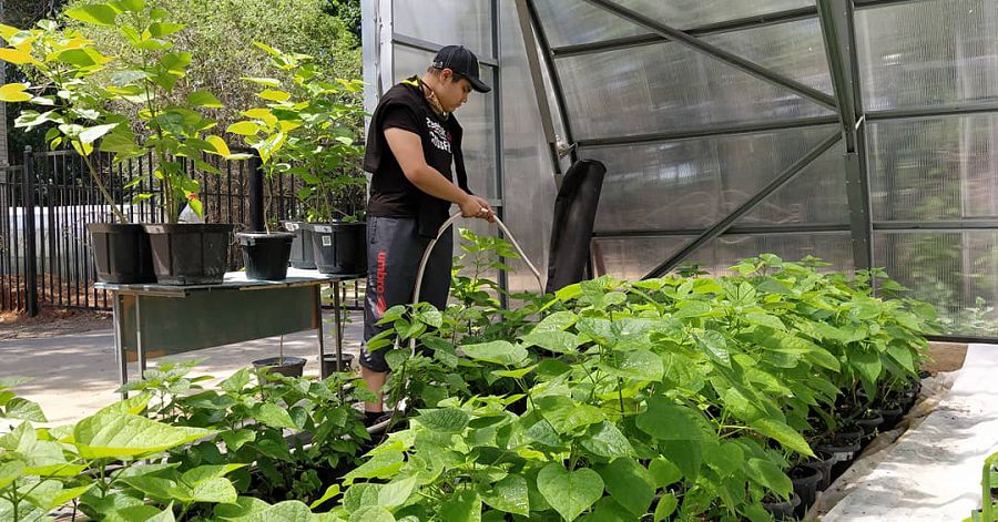 جەزقازعانداعى «جەرۇيىق»