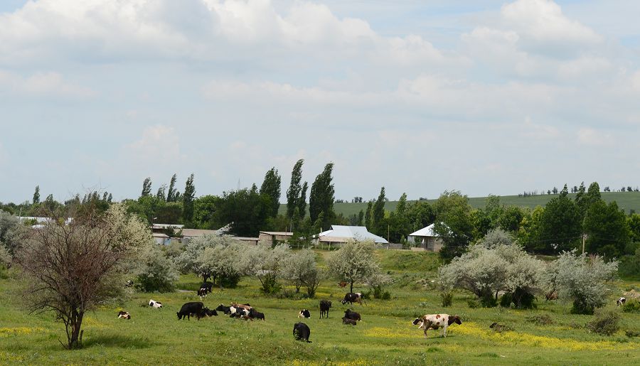 باعالاۋ ادىسىندەگى وزگەرىس بولاشاعى جوق اۋىلداردى ساقتاپ قالا ما؟