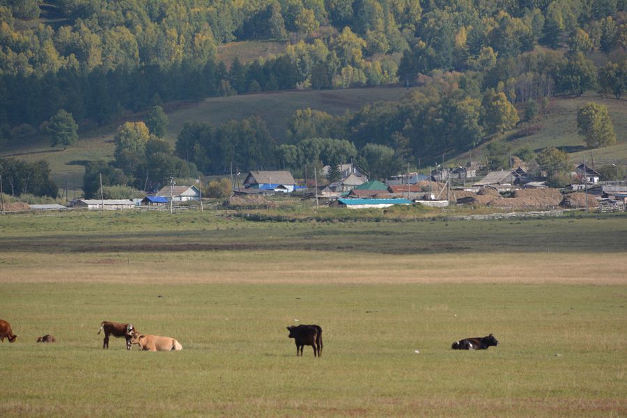 جەرگىلىكتى حالىقتىڭ الەۋەتى ارتادى