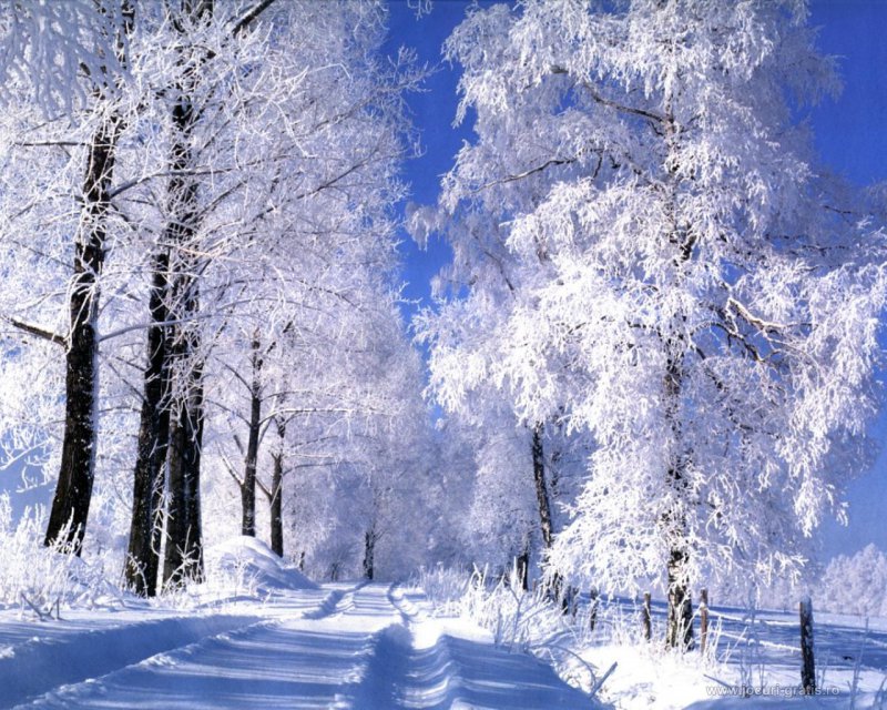 كۇننىڭ سۋىتۋى كۆي اۋرۋىنىڭ ورشۋىنە اسەر ەتە مە؟