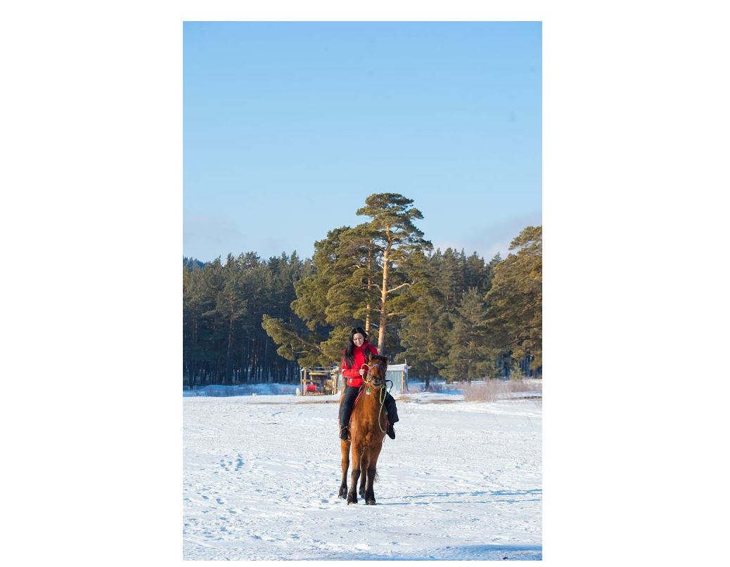 كۋرورتتىق ايماق قىسقى ماۋسىمعا قامدانۋدا