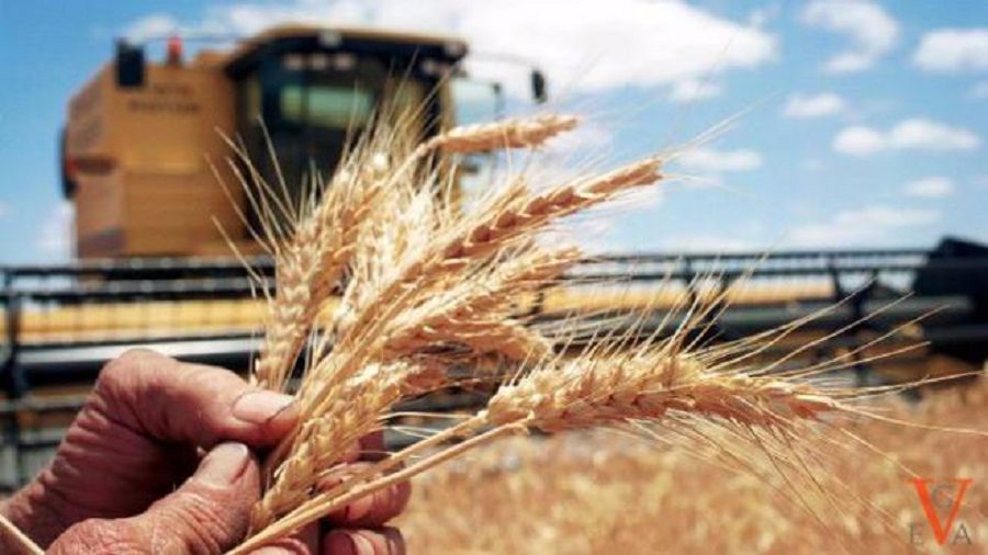 جەر يەسىن تاپسا, يگىلىك مولايادى