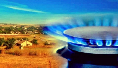 قامىستىعا كوگىلدىر وتىن كەلەدى