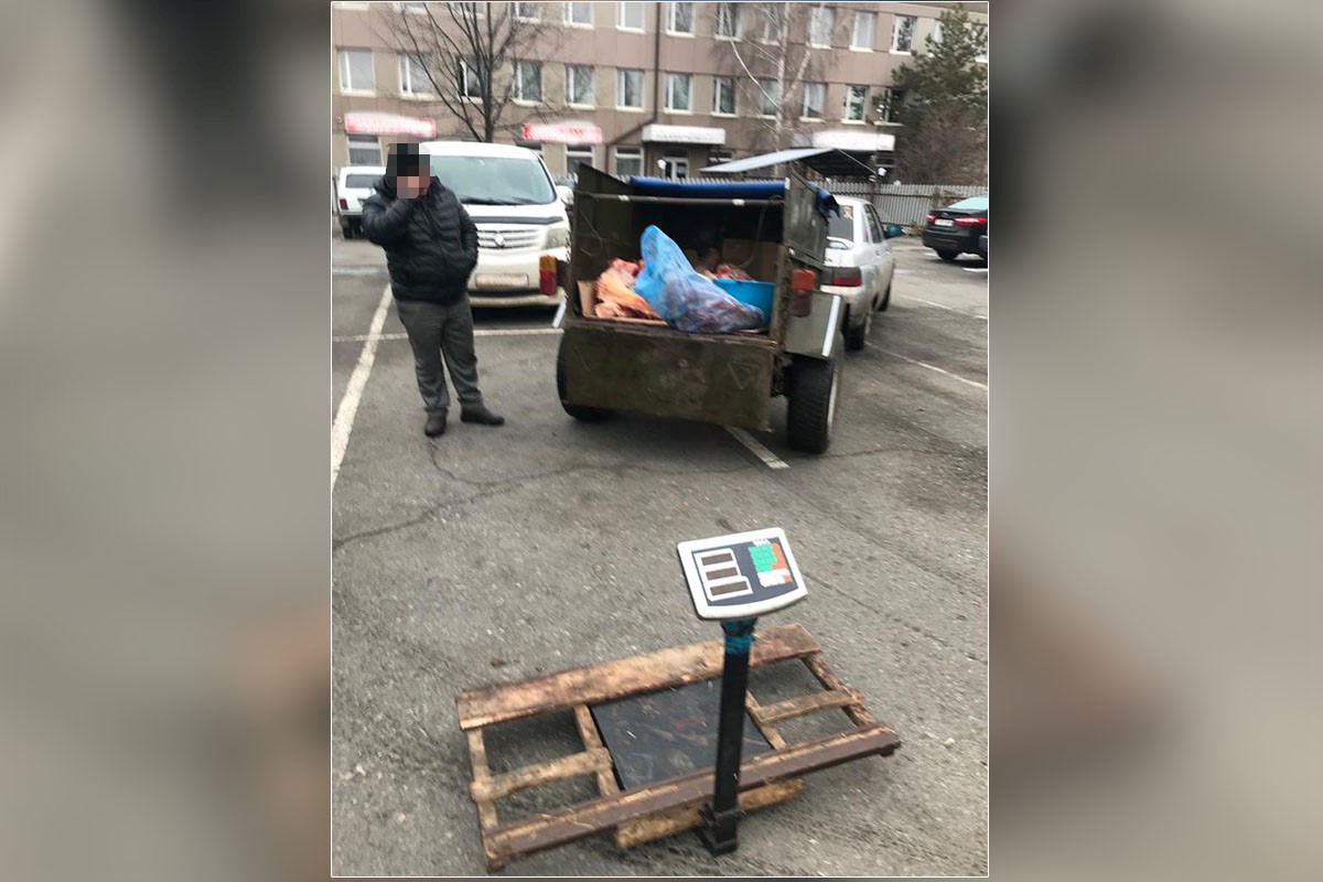 سقو پوليتسەيلەرى ءبىر كۇن ىشىندە 4 مال ۇرلىعىن اشتى