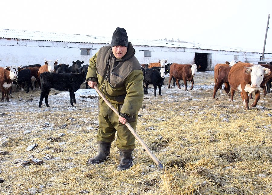 تۋعان اۋىلىن تۇلەتكەن