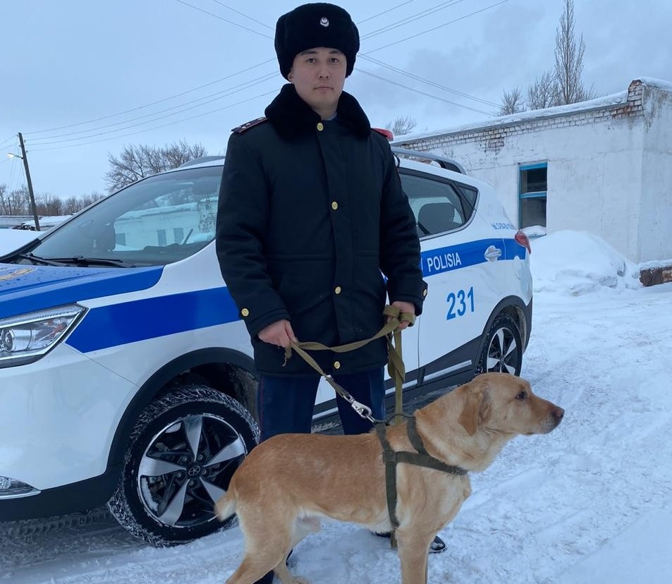 قوستانايلىق پوليتسەيلەر 474 قىلمىستى قىزمەتتىك ءيتتىڭ كومەگىمەن اشقان