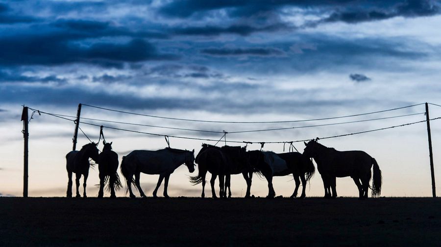 كوشپەندىلەردىڭ كەرمە مادەنيەتى