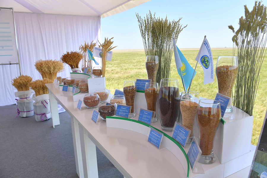 ەكسپورت: بيدايدىڭ ءباسى, ۇننىڭ باسەكەسى جوعارى