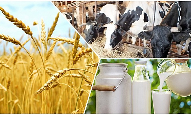 مال باعىپ, دۇكەن اشىپ...