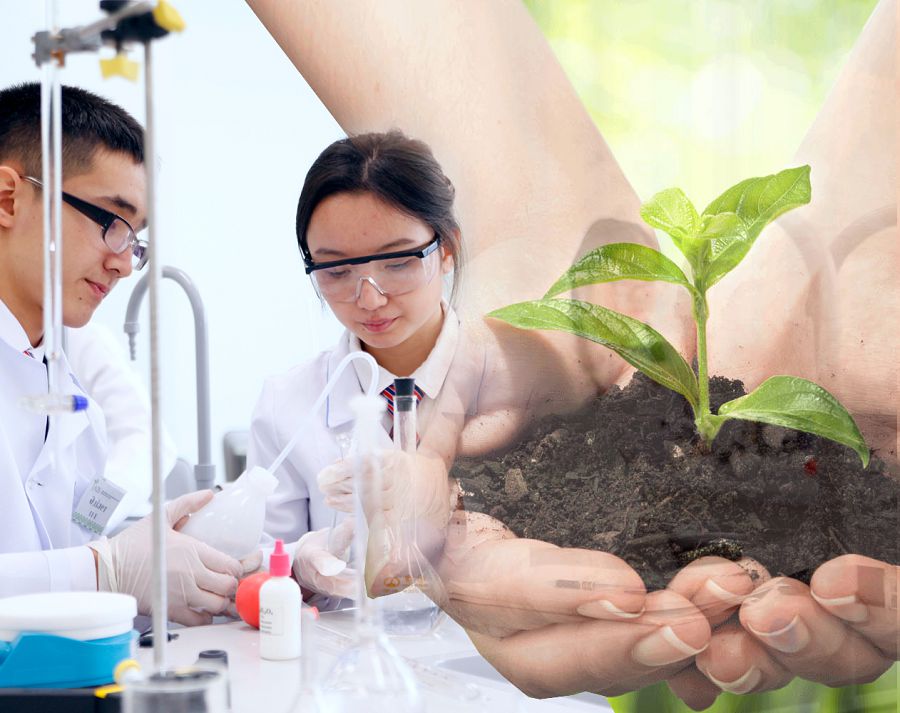 كاكىمجان سارحانوۆ: «سۇرانىسقا يە ءونىم شىعاراتىن ورتا قۇرۋ كەرەك»