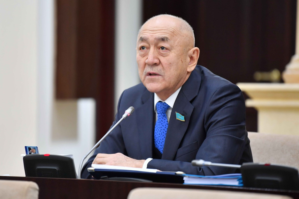 سەنات دەپۋتاتى ناتو پارلامەنتتىك اسسامبلەياسىنىڭ 66-شى سەسسياسىنا قاتىسۋدا