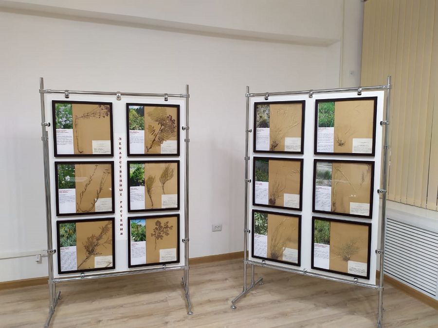 الماتىلىق جۋرناليستەر ەلىمىزدەگى ەڭ باي گەرباريگە باردى