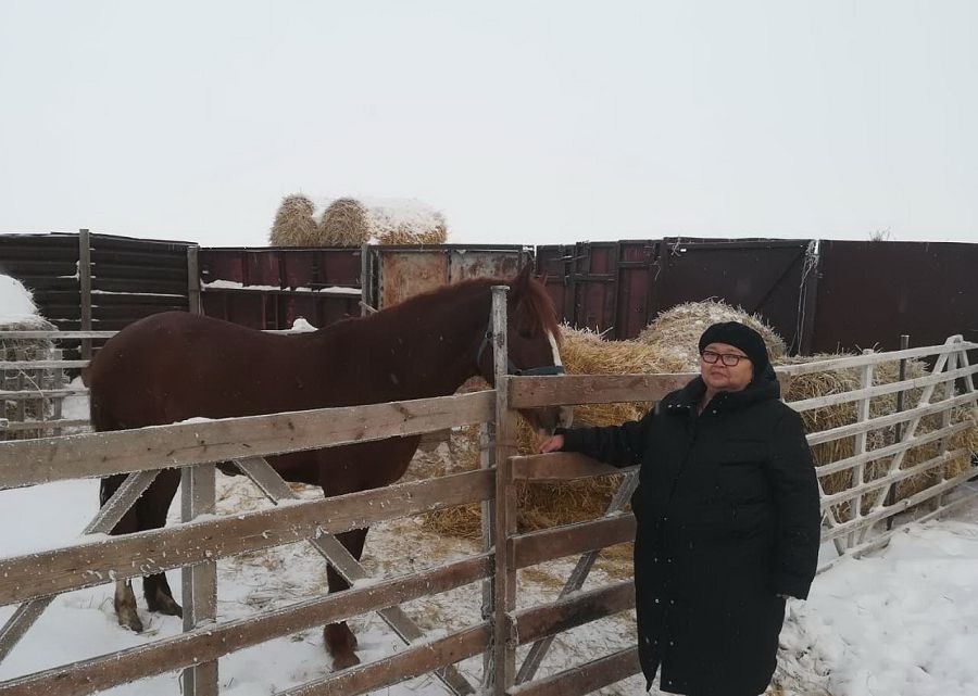 «ءادىلجان» – الەۋەتتى شارۋاشىلىق