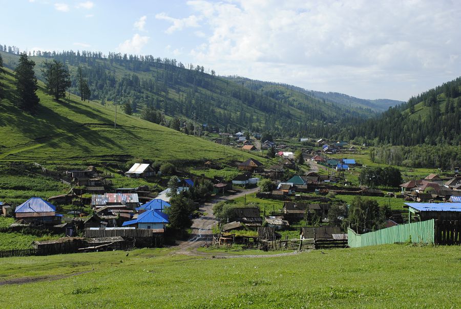 شەكاراداعى شەپكە شىن جاناشىرلىق كەرەك