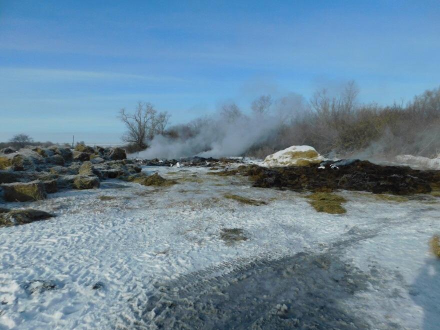 سقو-دا بىرەۋدىڭ جيناعان ءشوبىن ورتەگەندەر ۇستالدى