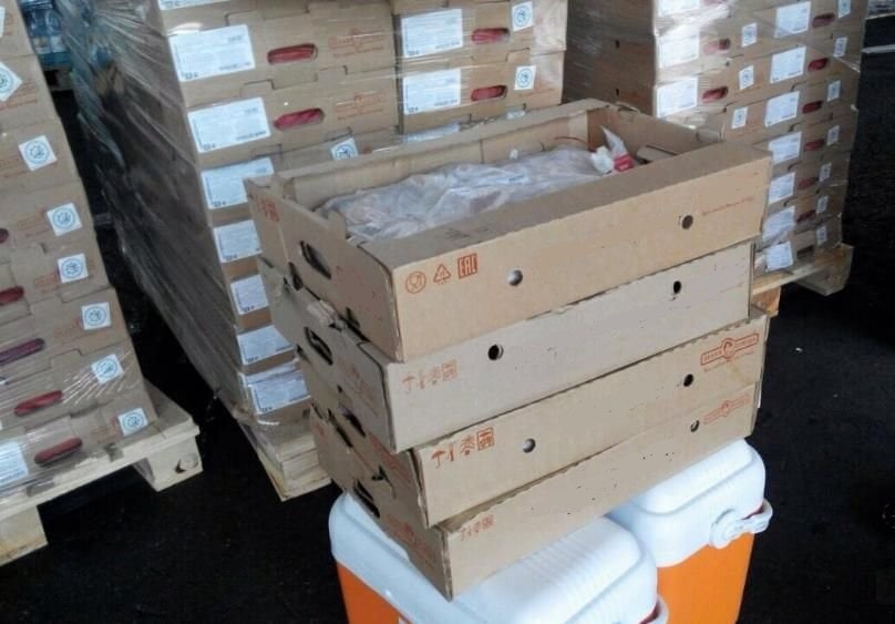 رەسەيدەن اكەلىنگەن قۇس ەتى ونىمدەرىنىڭ سىرتقى قاپتامالارىنان كوروناۆيرۋس انىقتالدى