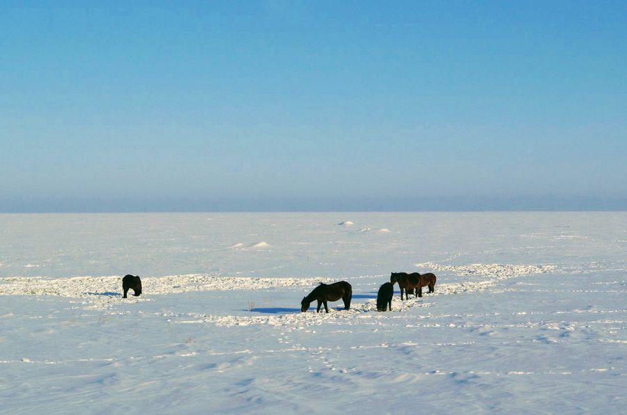مالىڭا اباي بول, اعايىن!