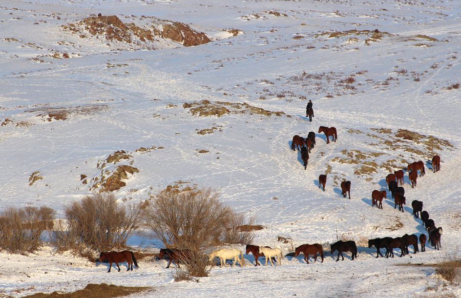 اۋىلدىڭ كوركى – ازاماتىنان