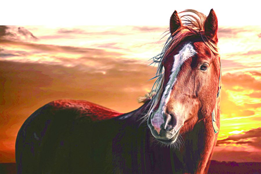 ات ابزەلدەرى