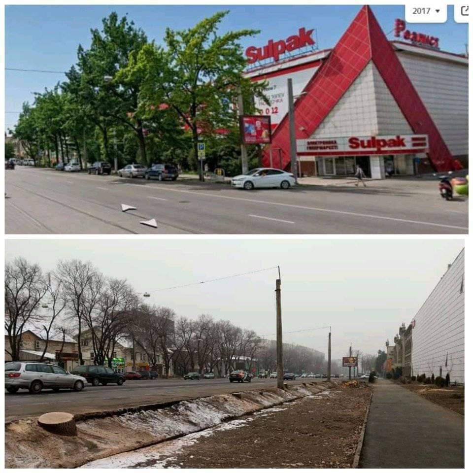 الماتى اكىمدىگى كەسىلگەن اعاشتاردىڭ ورنىنا 30 ەمەن وتىرعىزادى