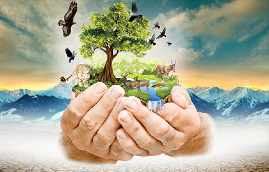 تابيعاتتى قورعاۋ تاربيەلىك شارالارمەن شەكتەلە مە؟